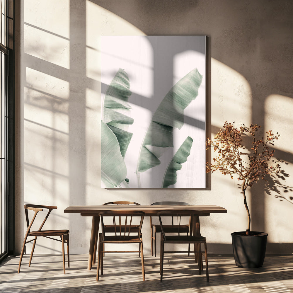 Blush Bananenblätter | Leinwand