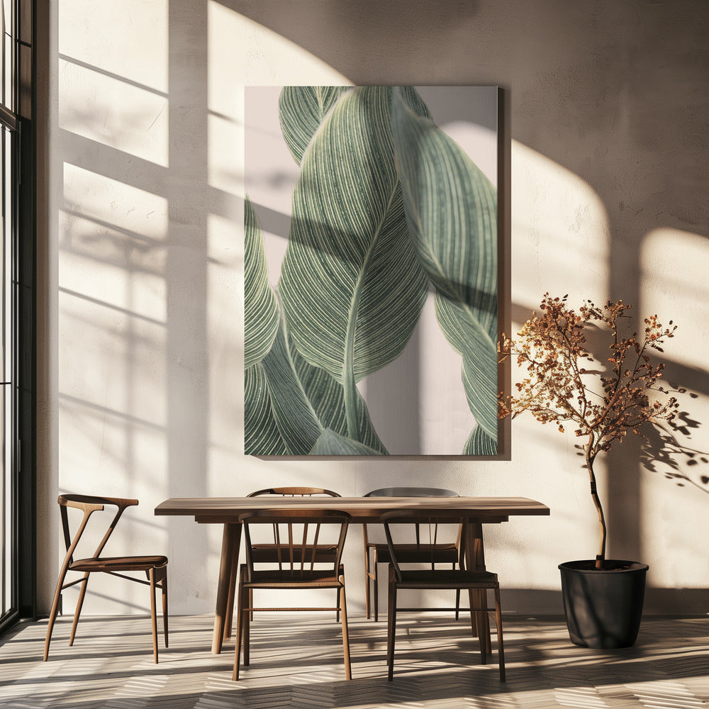 Calla-Blatt | Leinwand