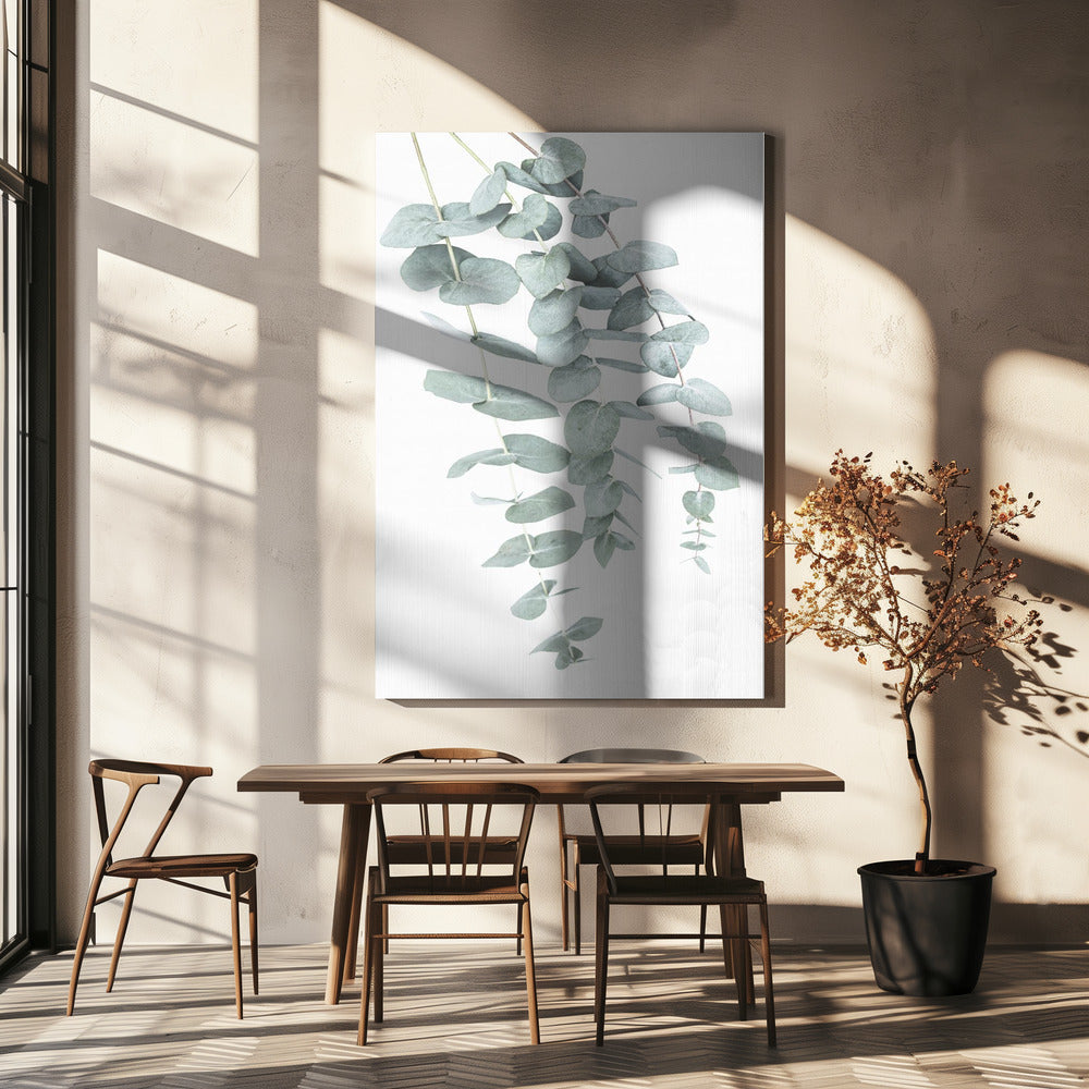Eukalyptus I | Leinwand