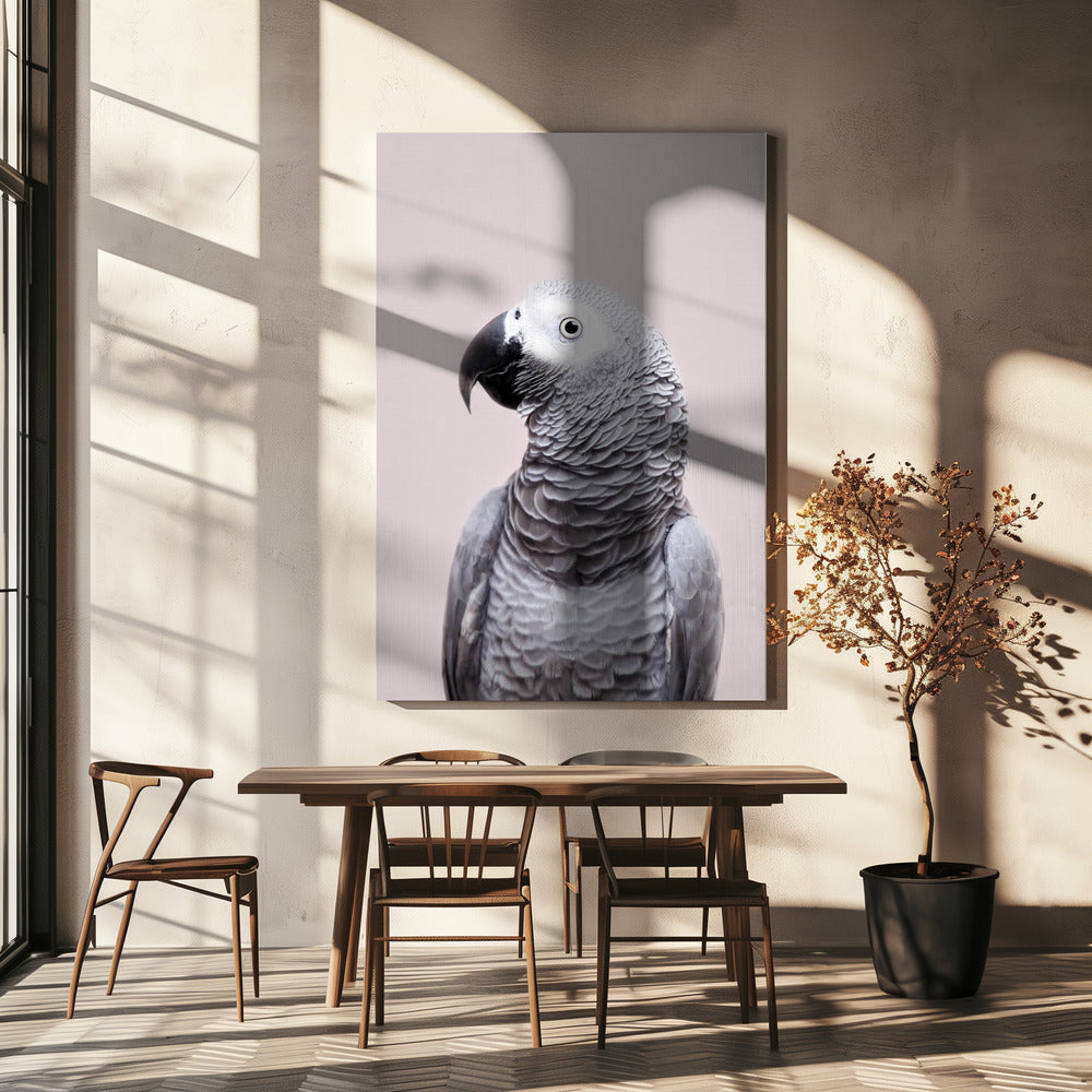 Afrikanisches Grau | Leinwand