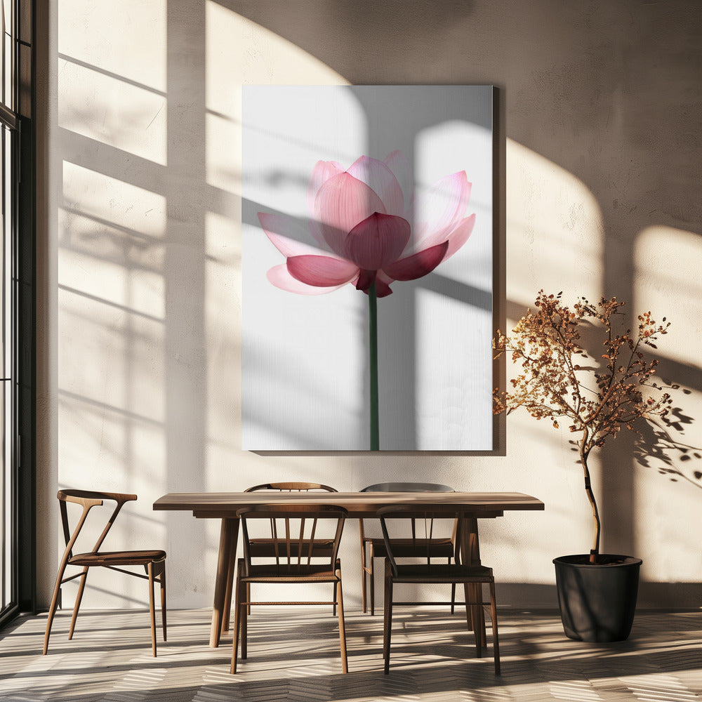Lotusblume | Leinwand