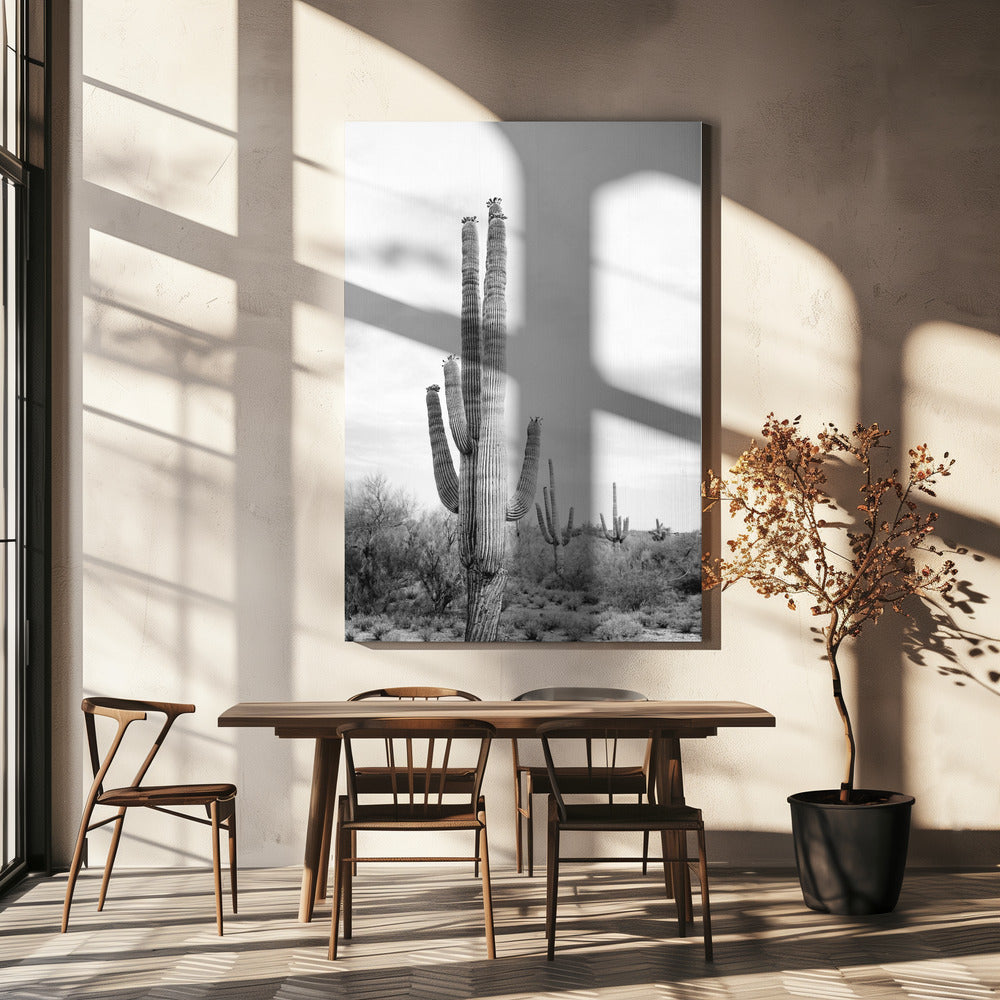 Saguaro S/W | Leinwand