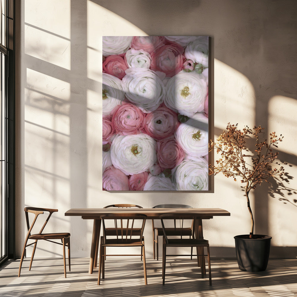 Verstreute Ranunkeln in gedecktem Rosa II | Leinwand