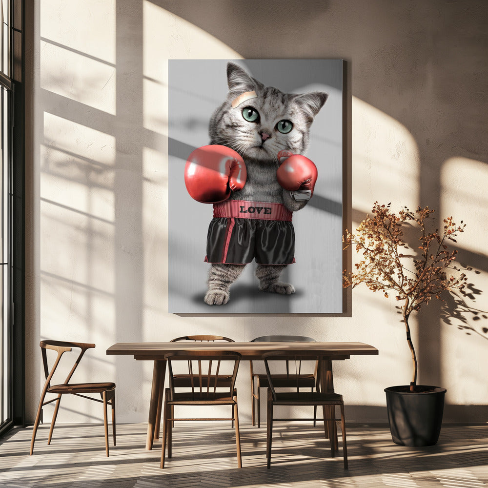 boxende Katze | Leinwand