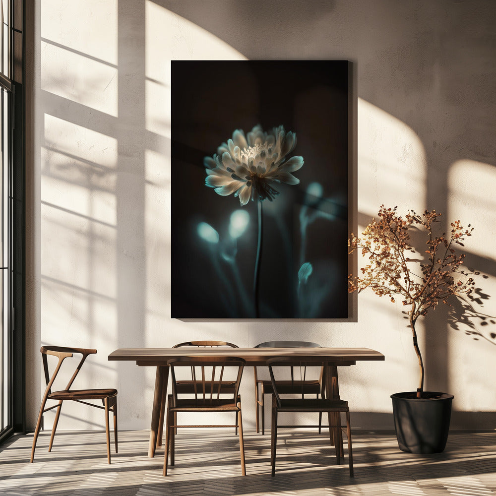 „Leuchtende Blüte“ | Leinwand