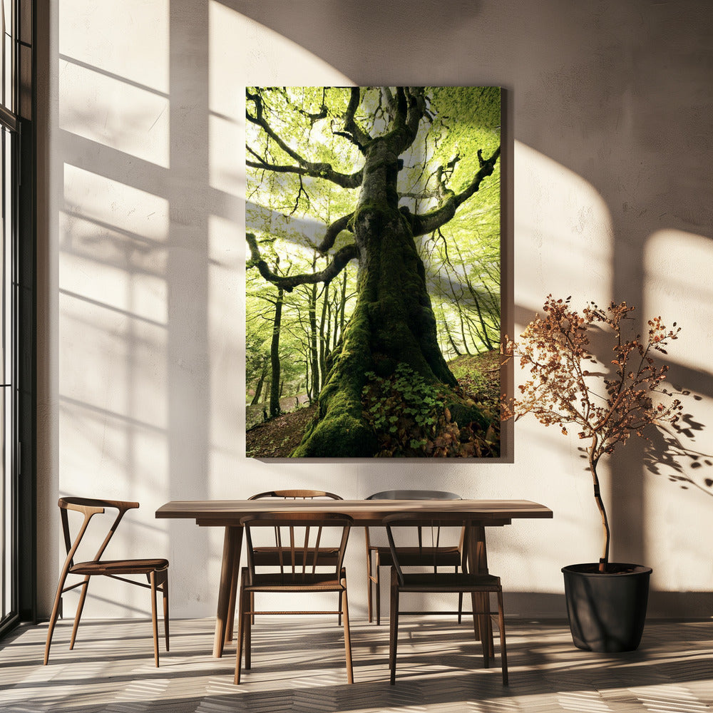 Ent | Leinwand