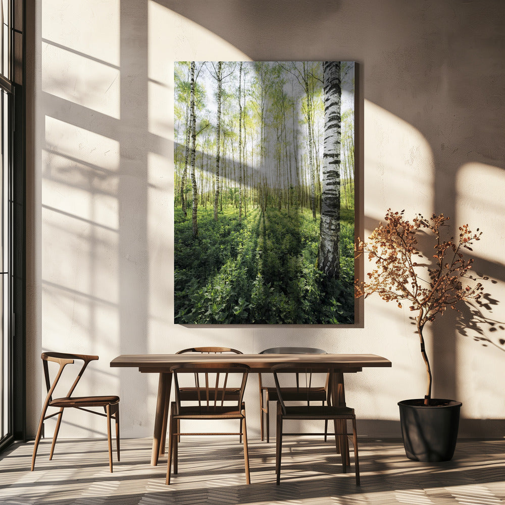 Birkenhain vertikal | Leinwand