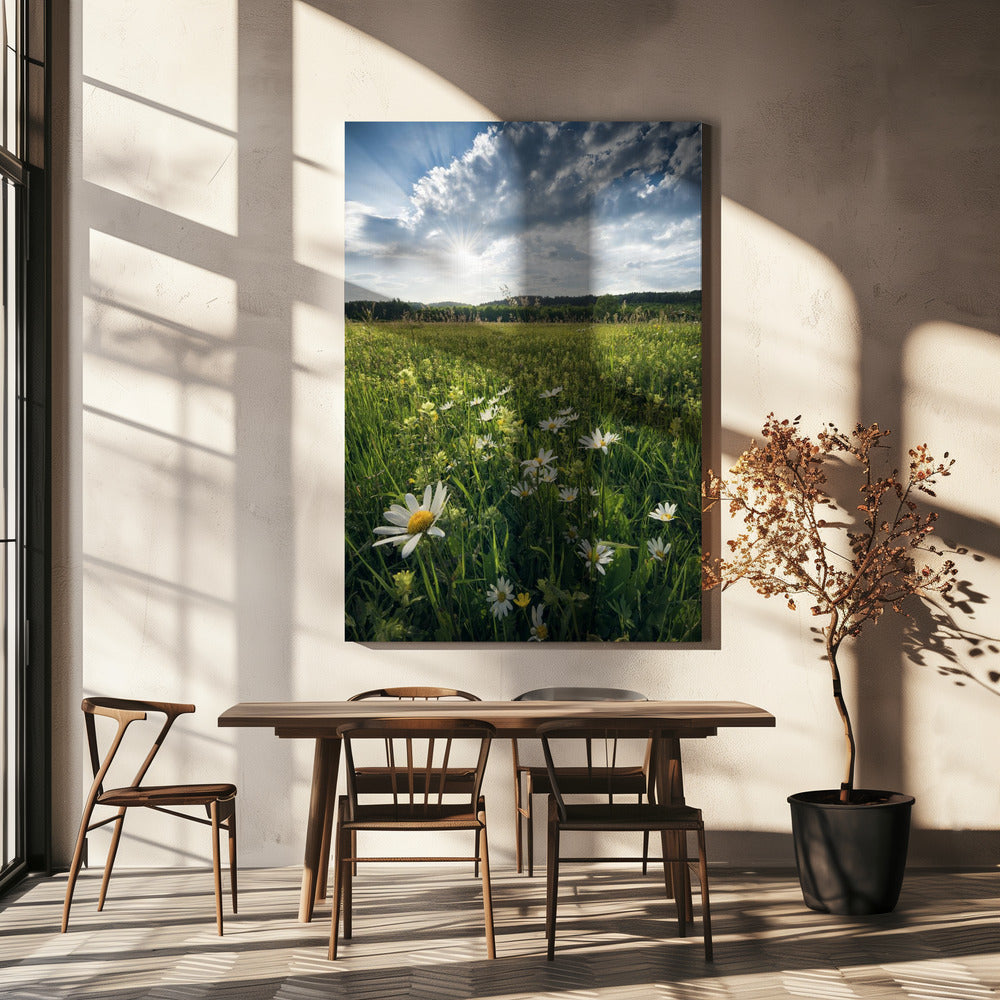 Blühende Wiese | Leinwand