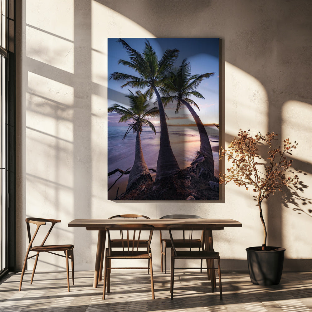 Palmy Twilight | Leinwand