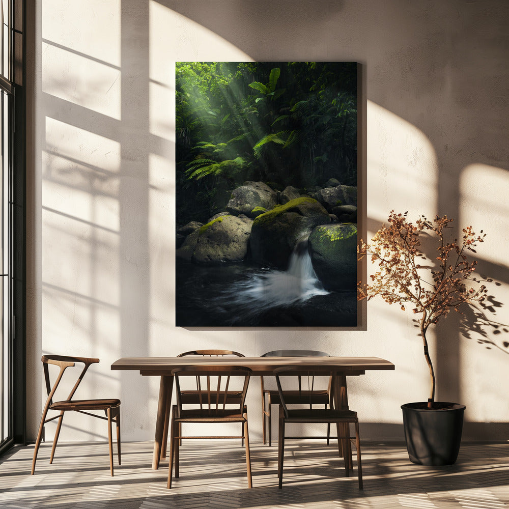 Mystischer Dschungel | Leinwand