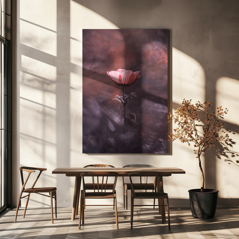 Ardente | Leinwand