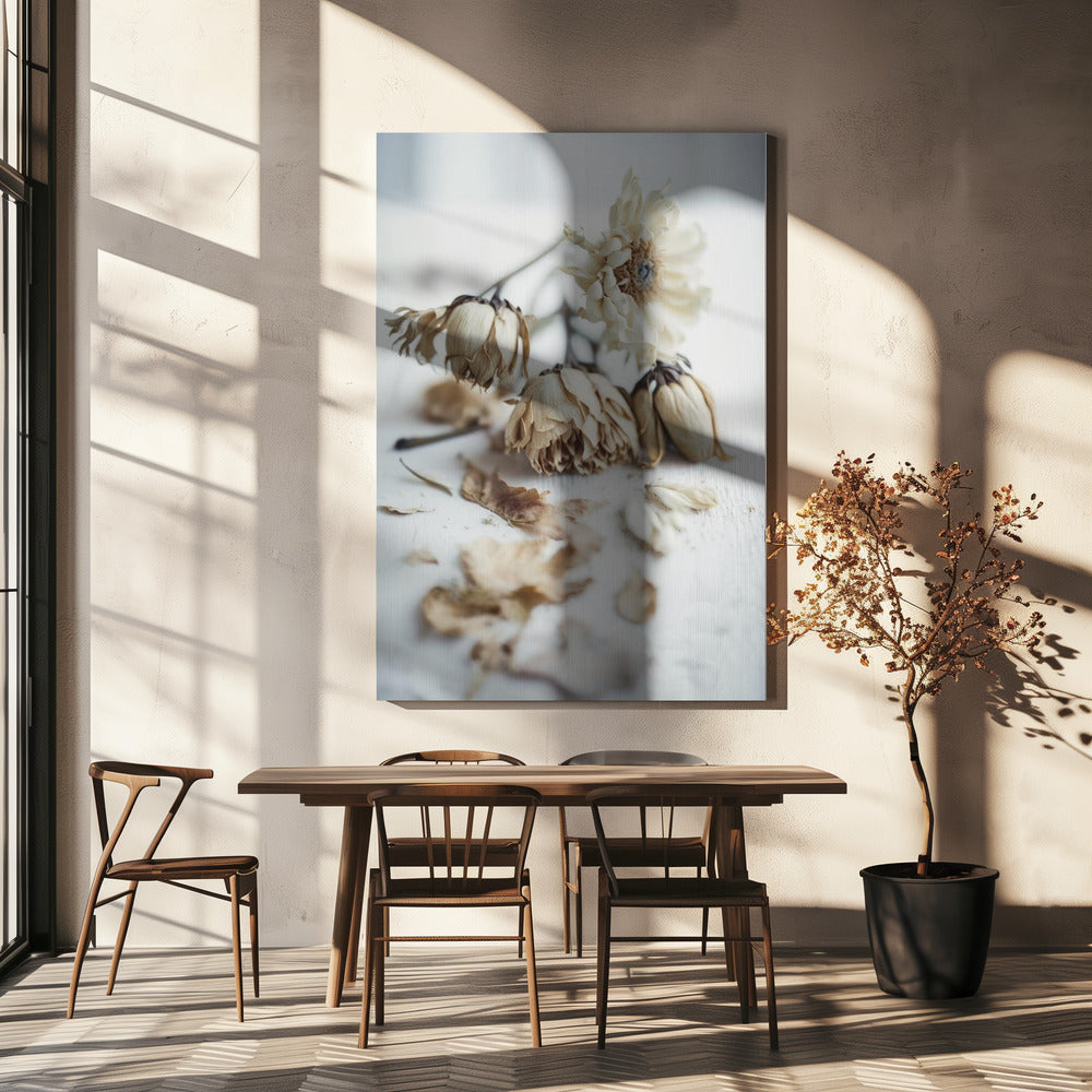 Verblasste Eleganz | Leinwand