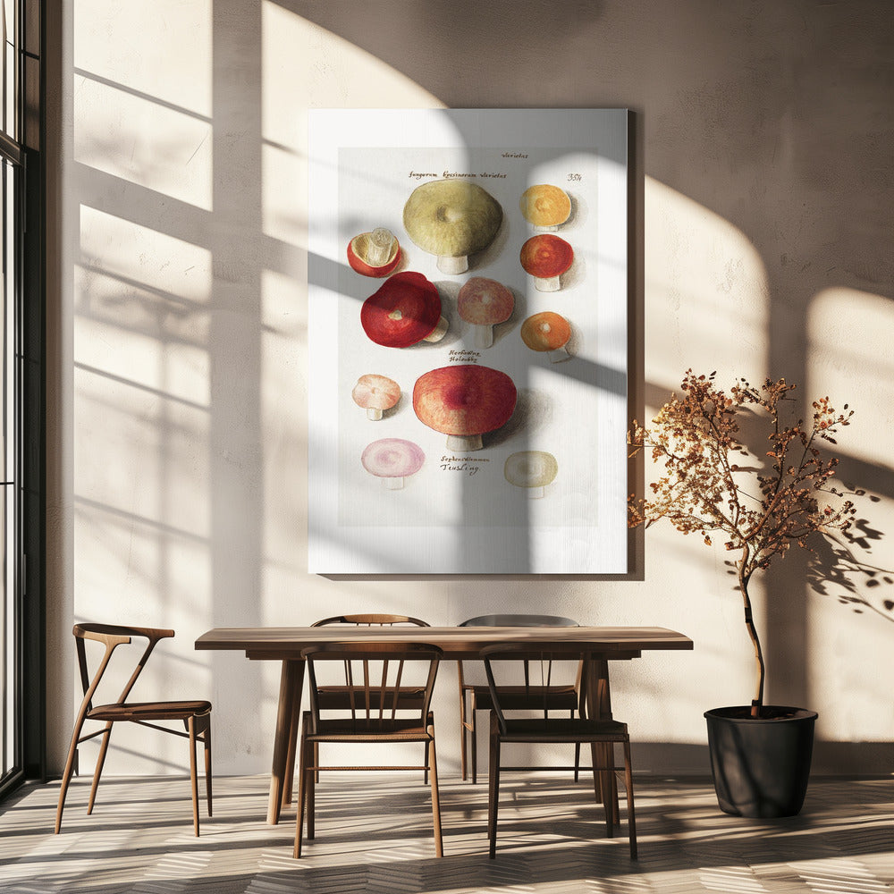 Boleten, Boletales stehend | Leinwand