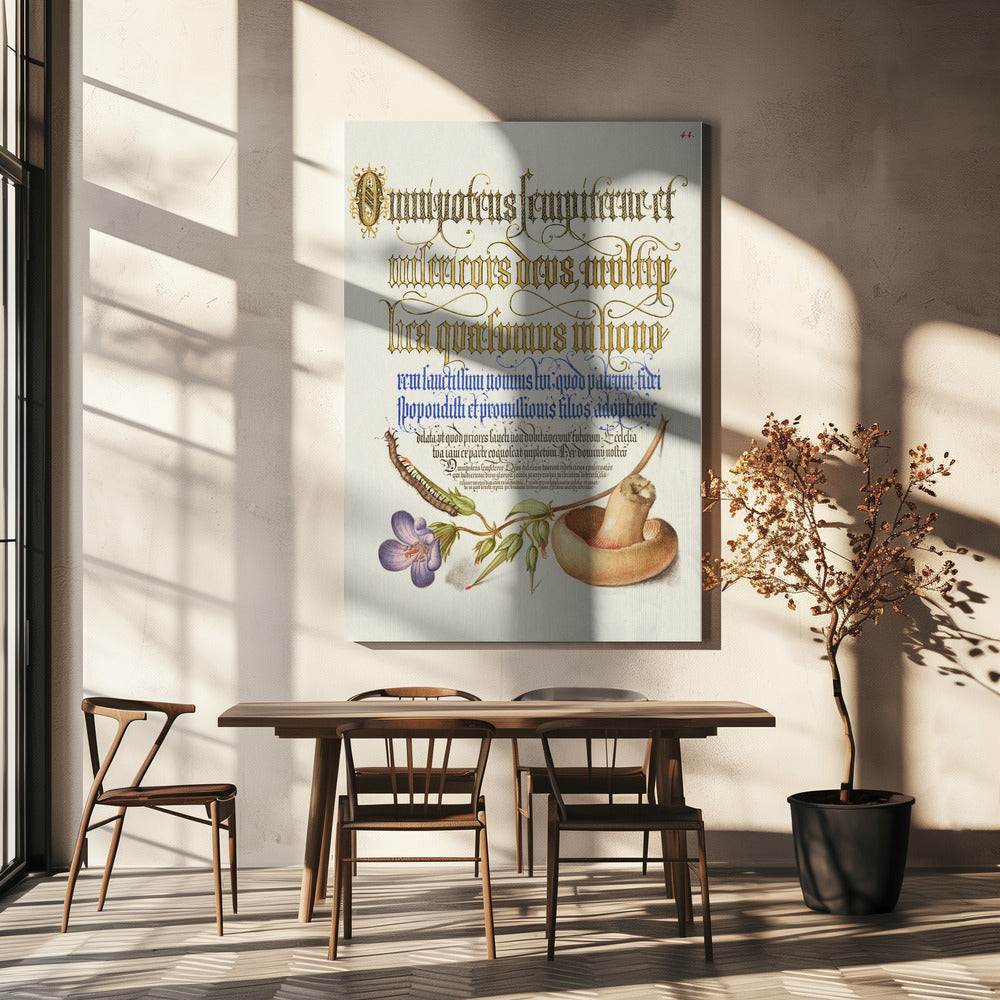 Pilz Poster | Leinwand