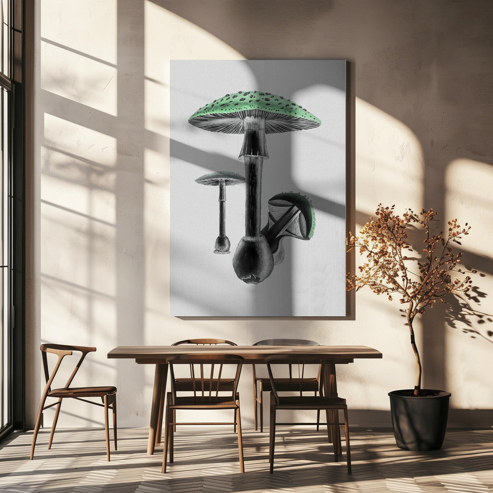 Amanita Muscaria Weißer Hintergrund Grün | Leinwand