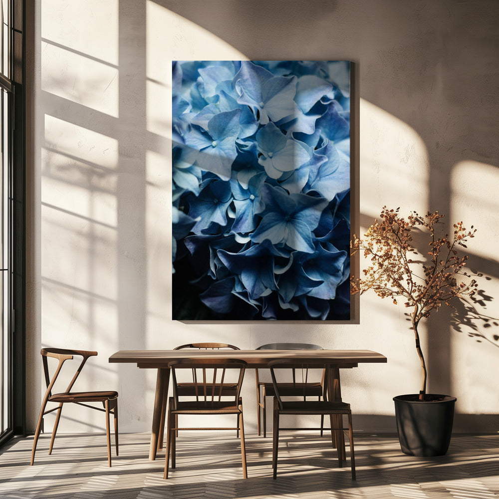 Leuchtend blaue Hortensien | Leinwand