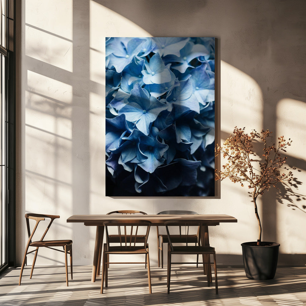 Hübscher Anblick Blaue Hortensie | Leinwand