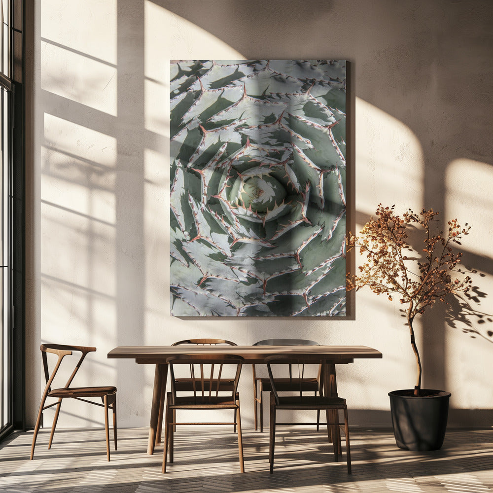 Spiralförmiges Sukkulenten-Labyrinth | Leinwand
