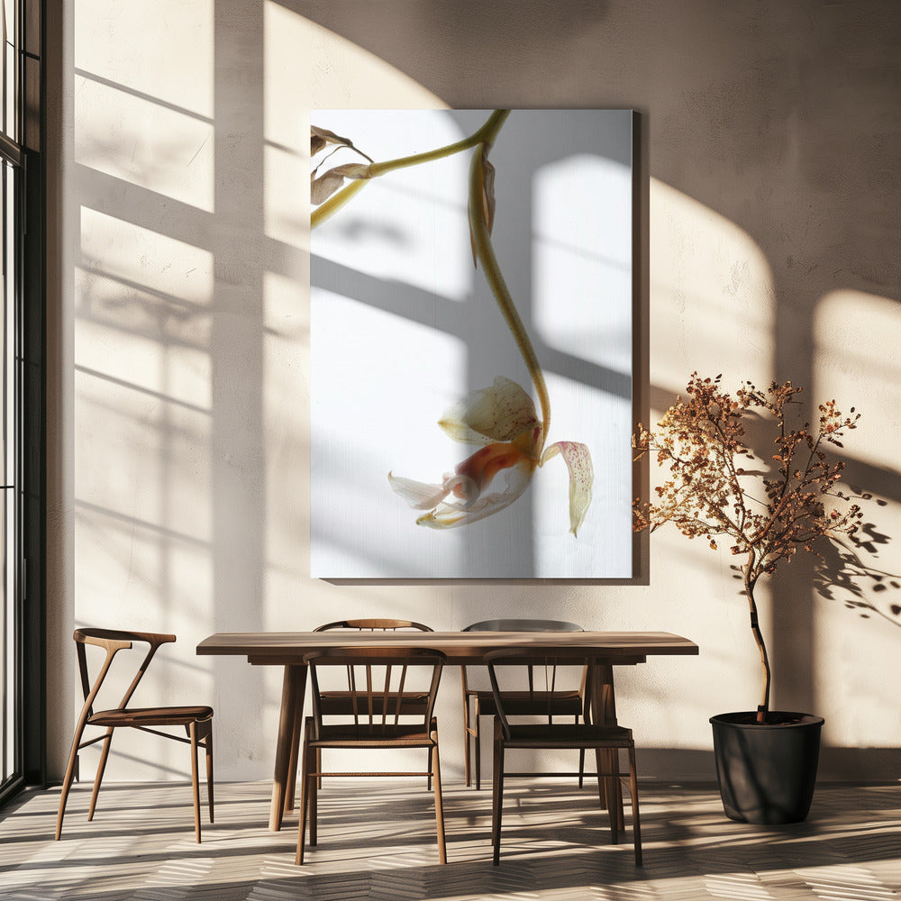 Elegant Decay | Canvas