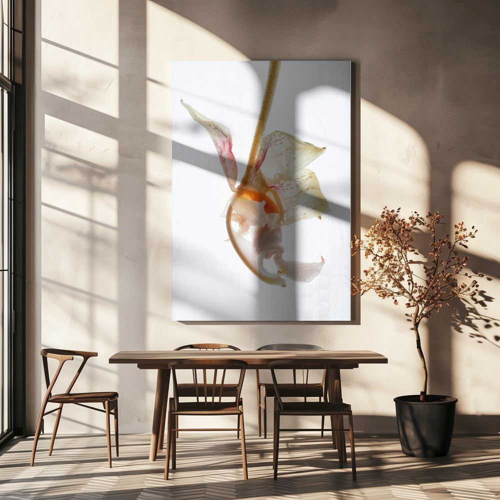 Petal Symphony | Canvas
