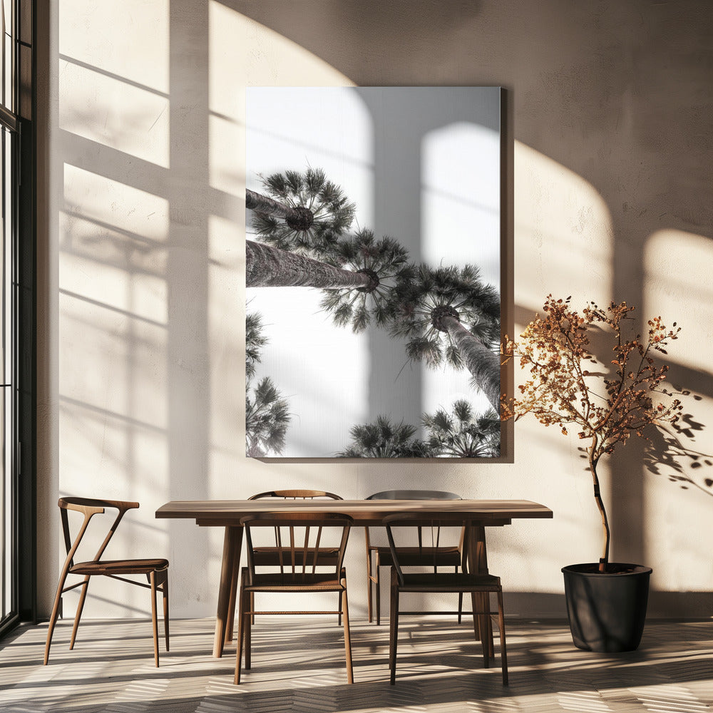 Skyward Palms | Canvas