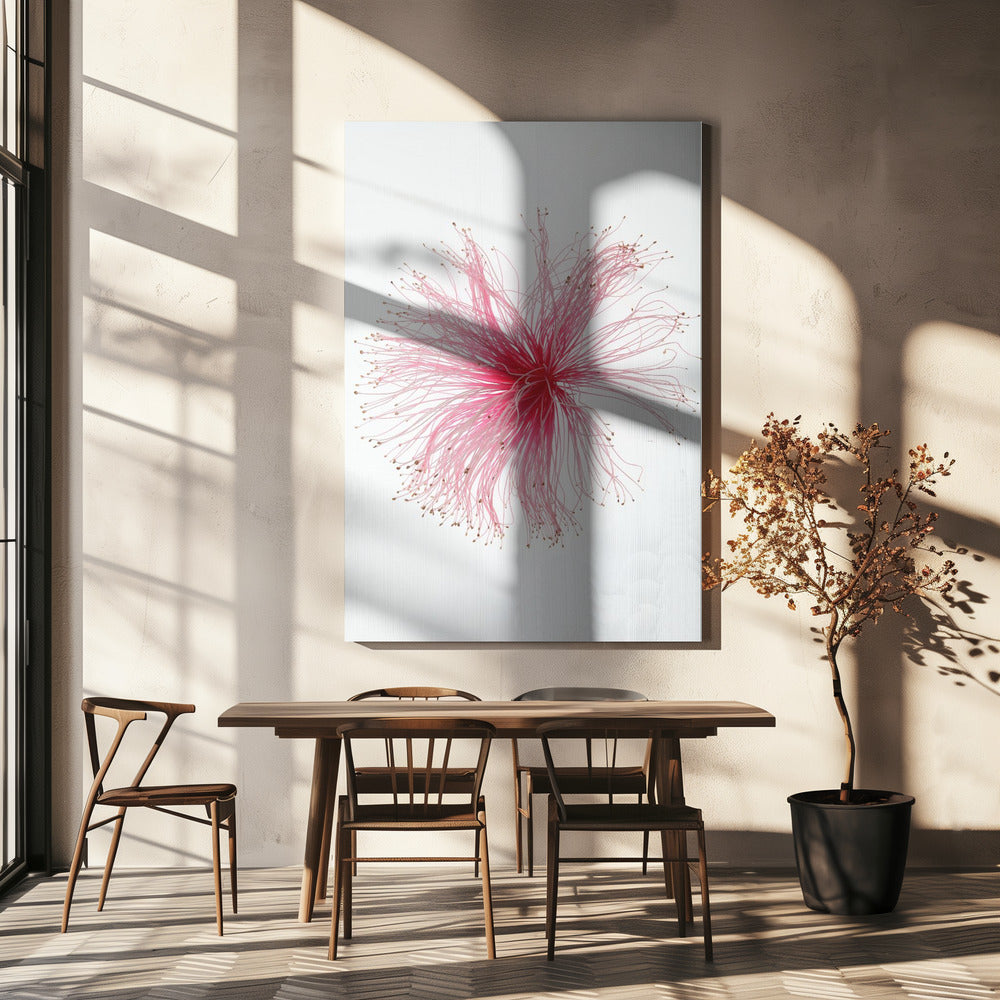 Floral Fireworks | Canvas