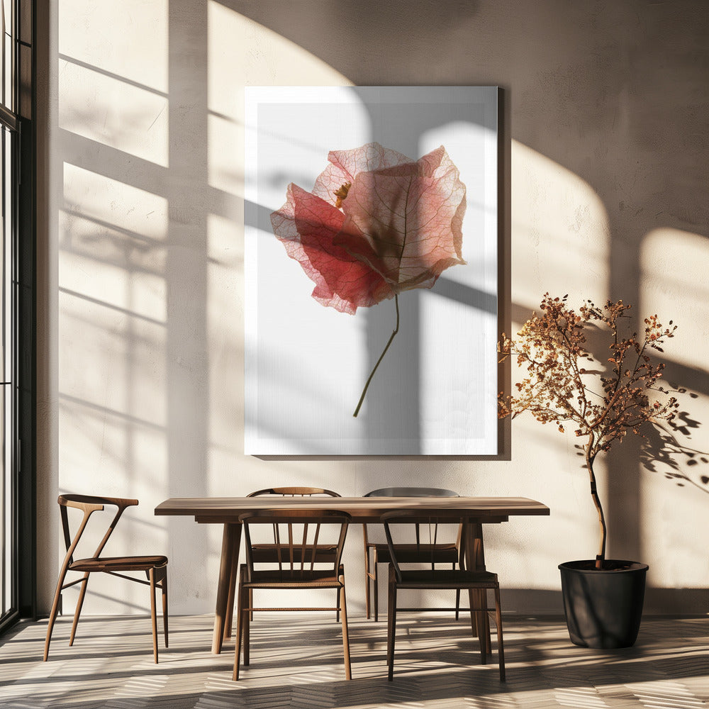 Petal Whisper | Canvas