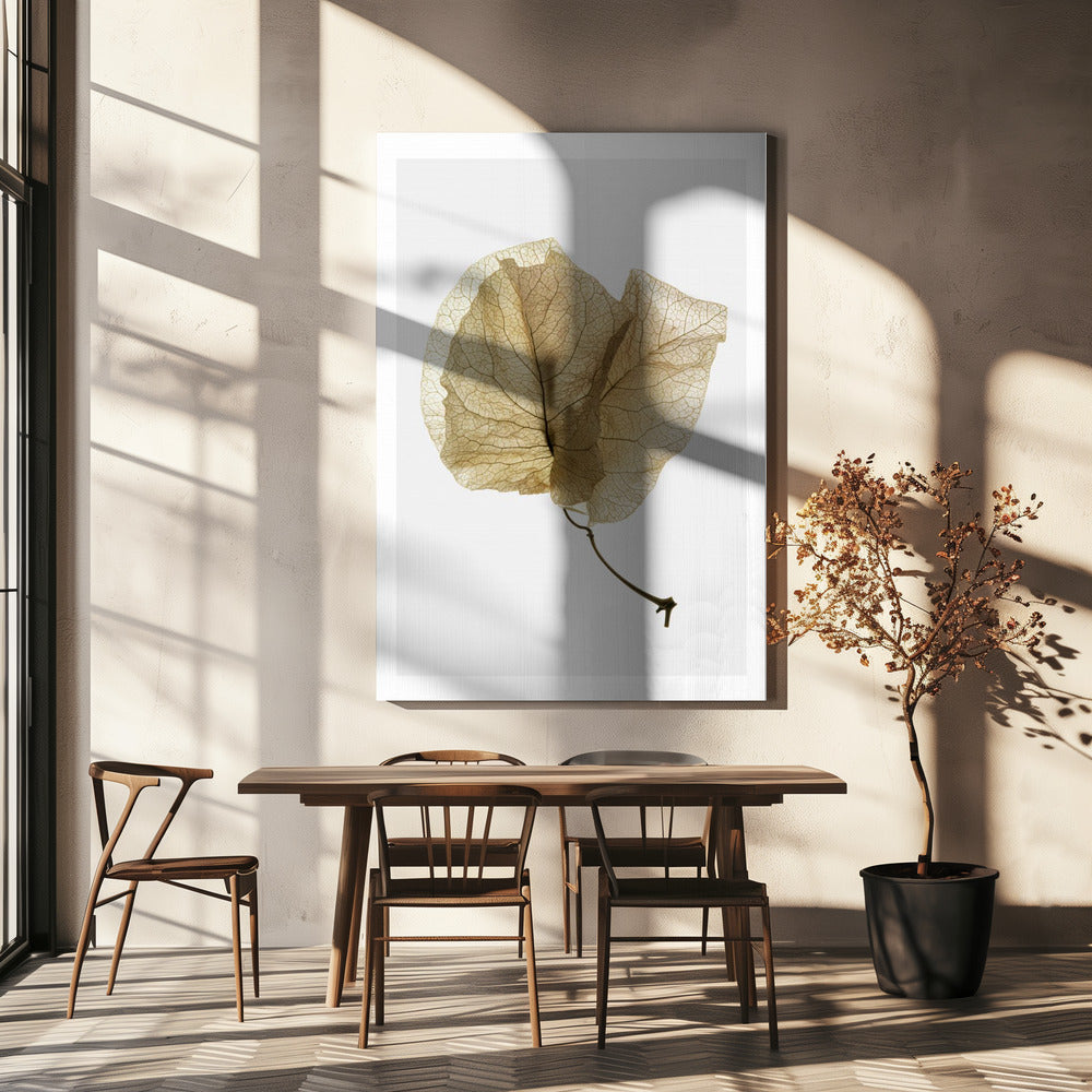 Delicate Leaf Veins | Canvas