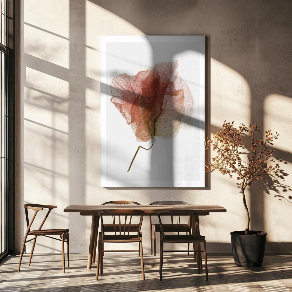 Delicate Petal Veins | Canvas
