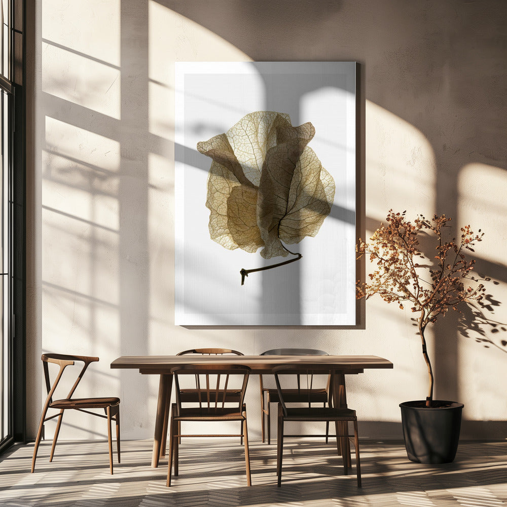 Whispering Petals | Canvas