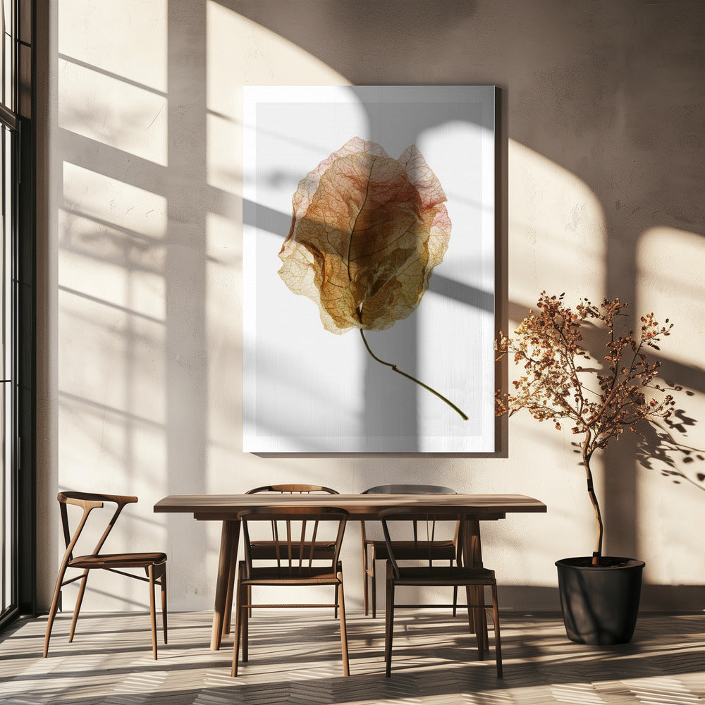 Veined Elegance | Canvas