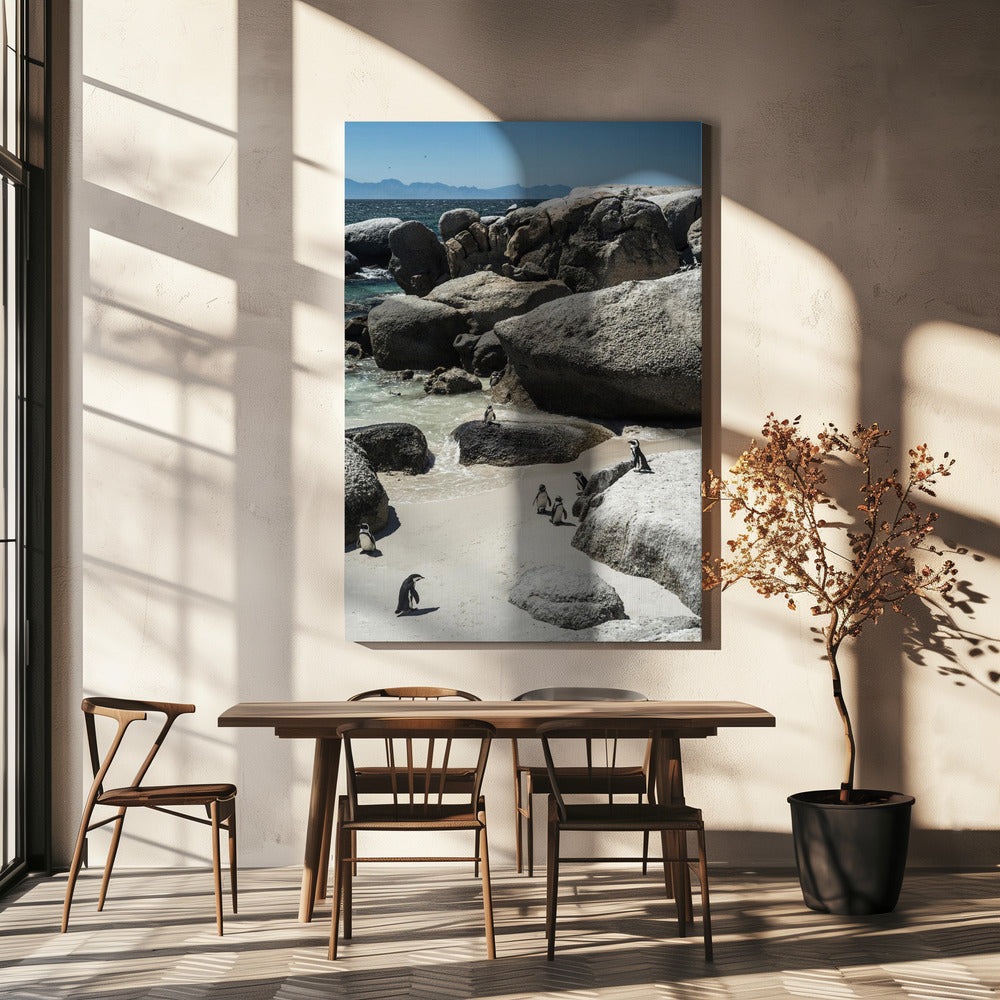 Penguin Cove Serenity | Canvas