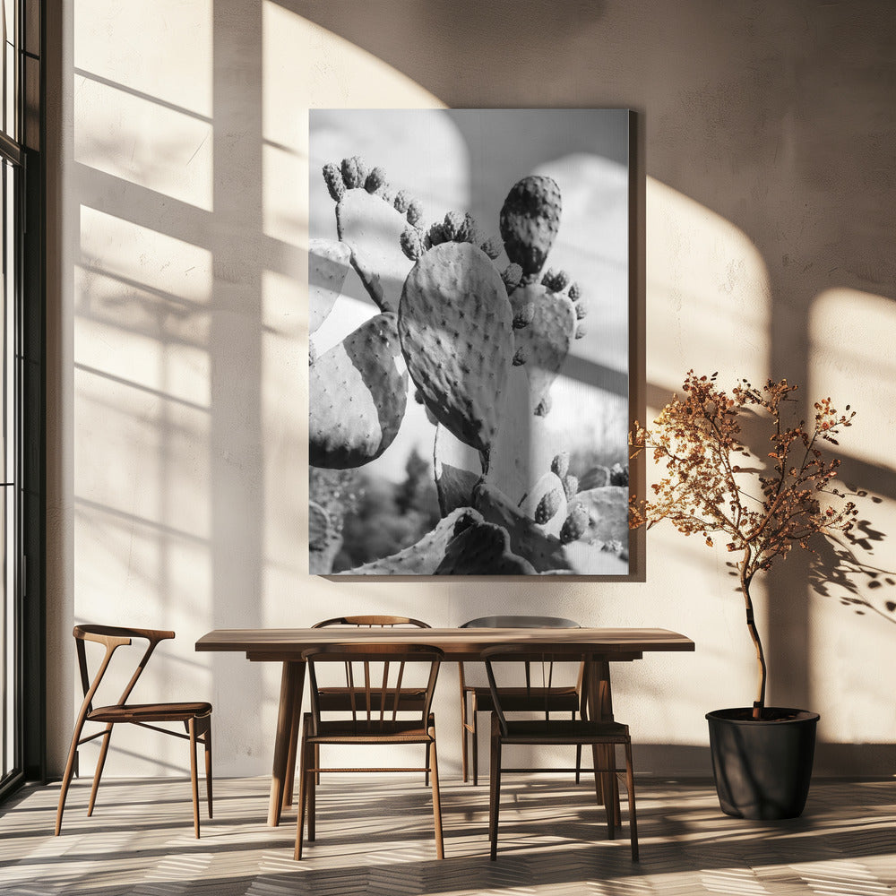 Desert Serenity | Canvas