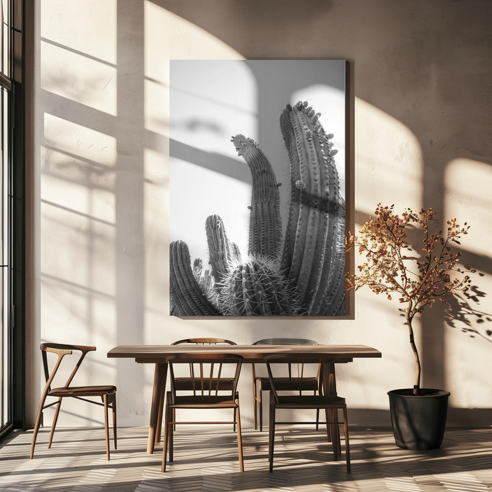 Desert Giants | Canvas