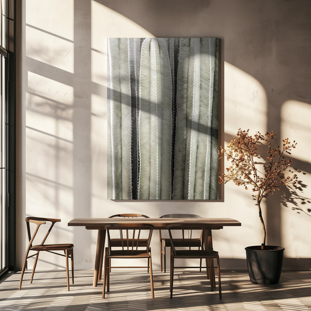 Cactus Symphony | Canvas