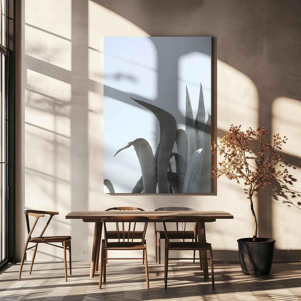 Azure Agave Dreams | Canvas