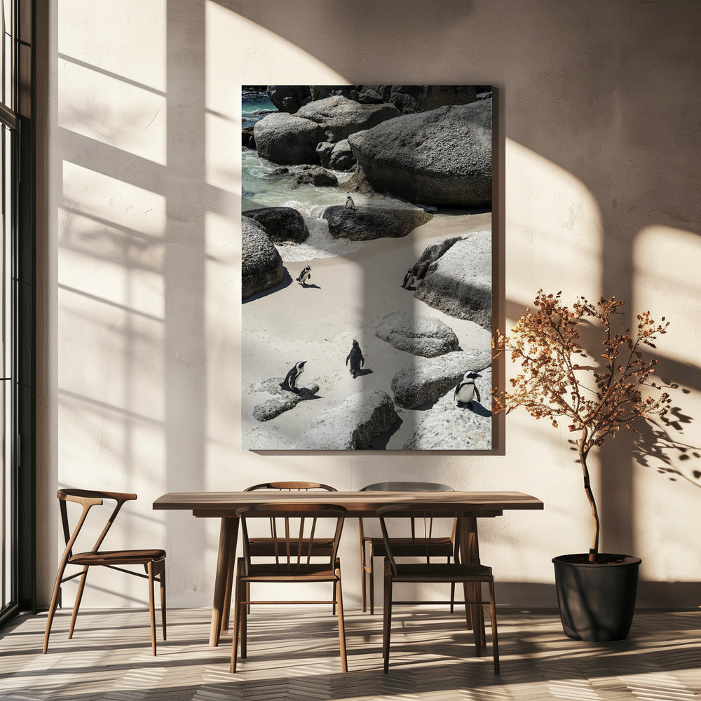 Penguin Beach Stroll | Canvas