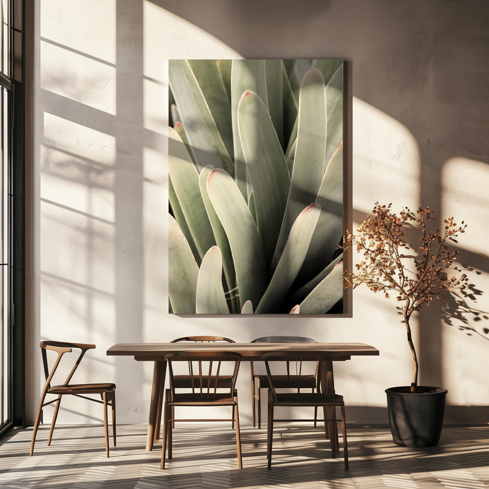 Succulent Symphony | Canvas