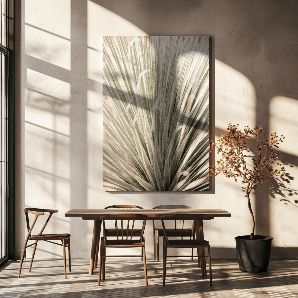 Spiky Serenity | Canvas