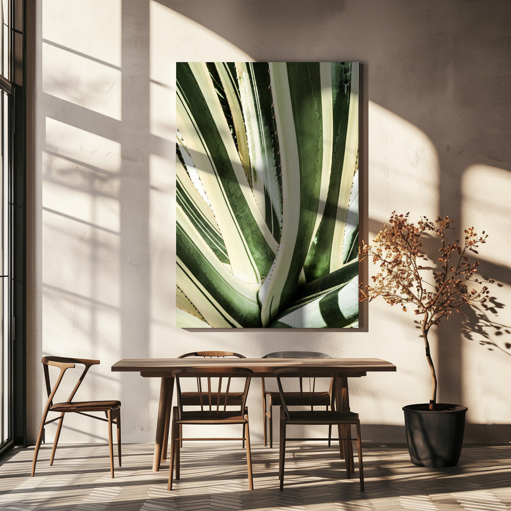 Succulent Symphony | Canvas