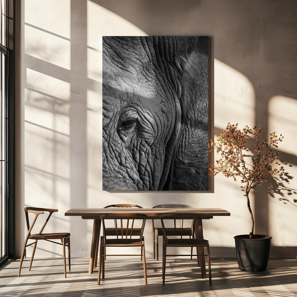 Wisdom's Wrinkles | Canvas
