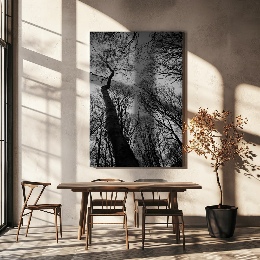 Winters Reichweite | Leinwand