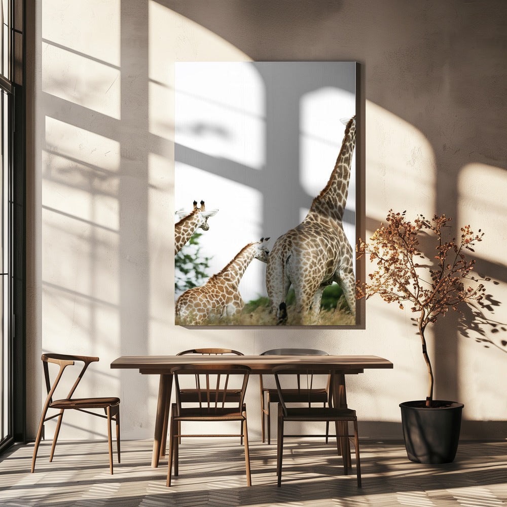 Giraffe Stroll | Canvas