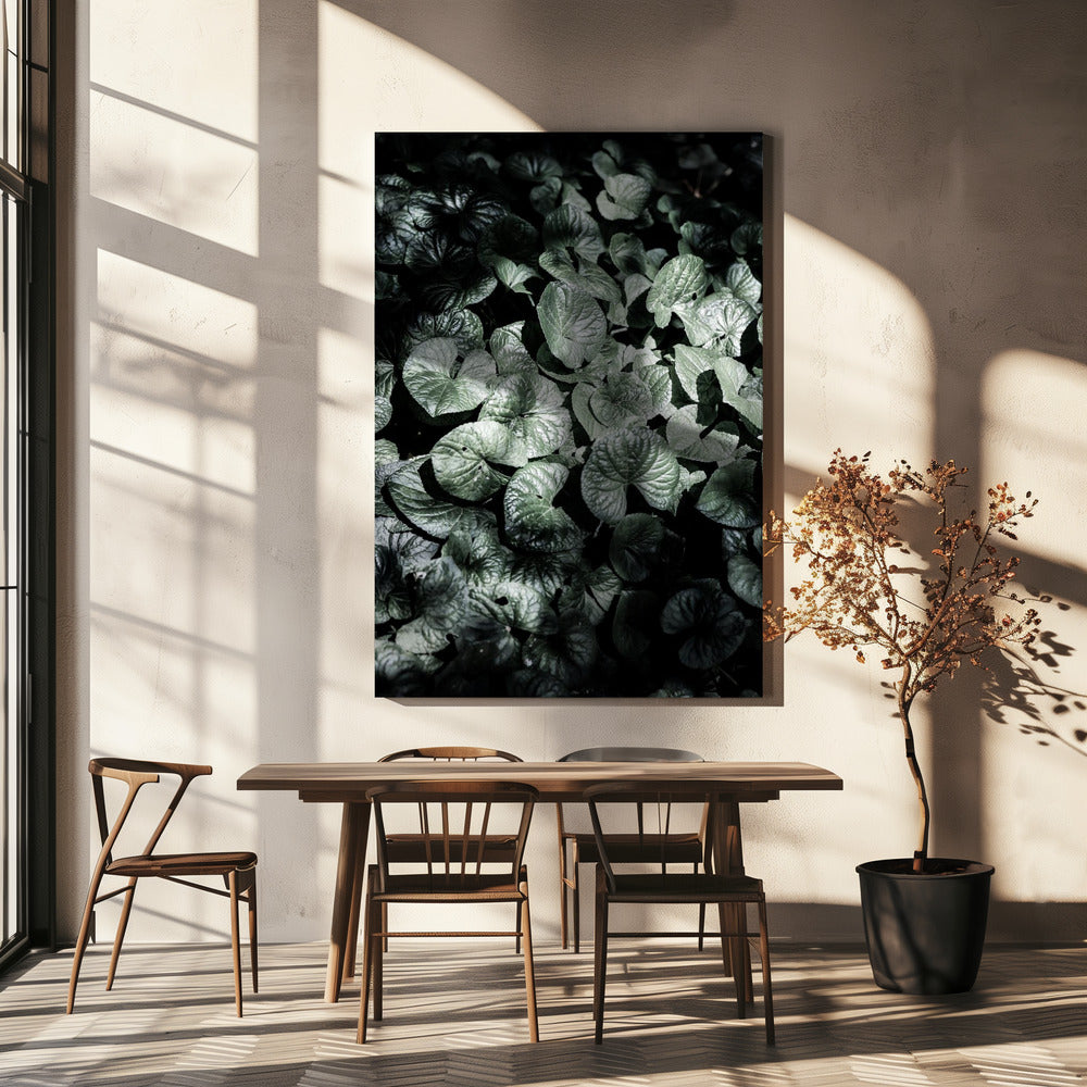 Blattschatten | Leinwand