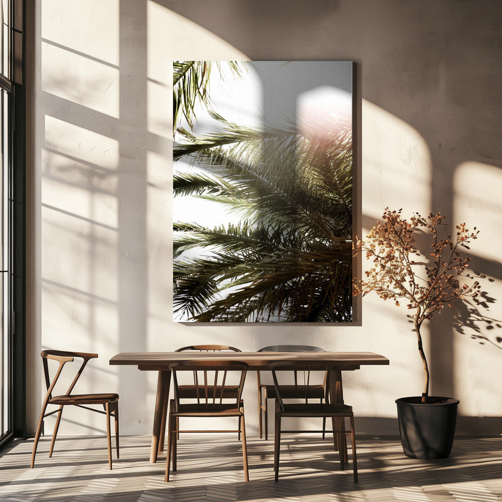 Sonnenbeschienenes Palmenglühen | Leinwand