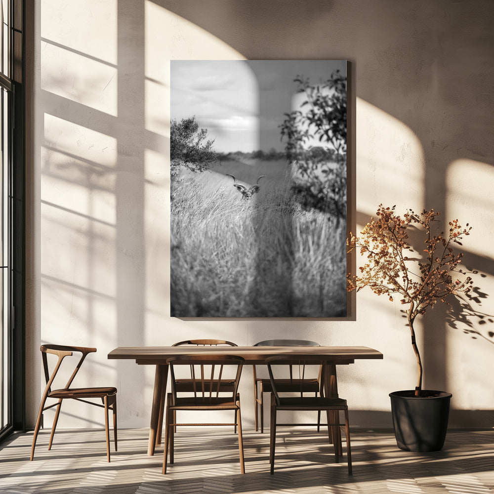 Hidden in the Grass | Canvas