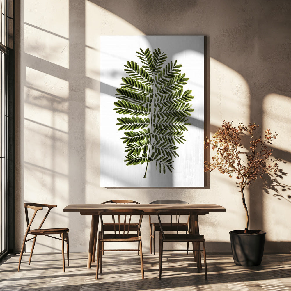 Fern's Symphony | Canvas