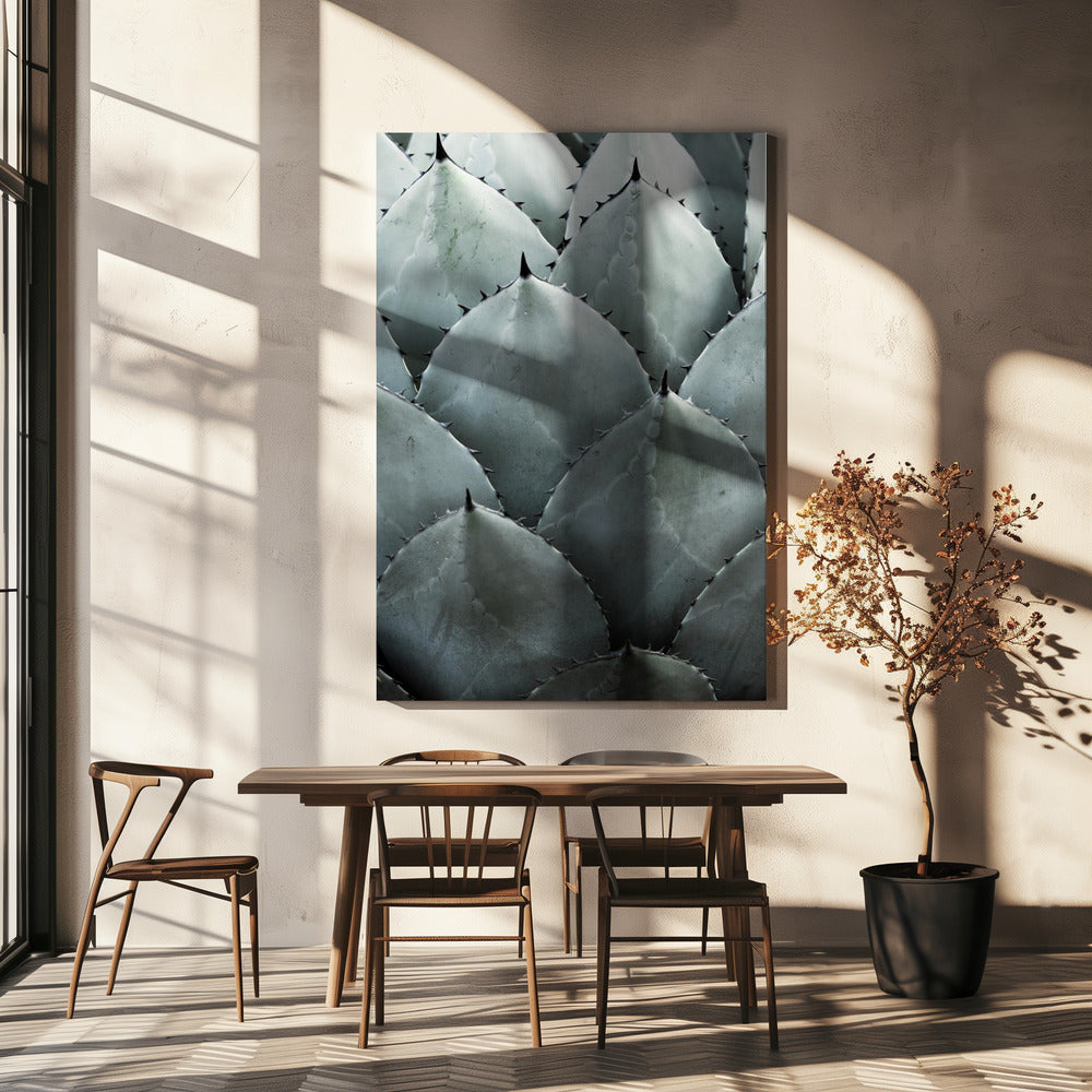 Agavensymmetrie | Leinwand