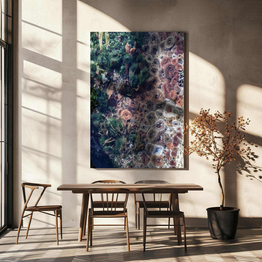 Ocean's Tapestry | Canvas