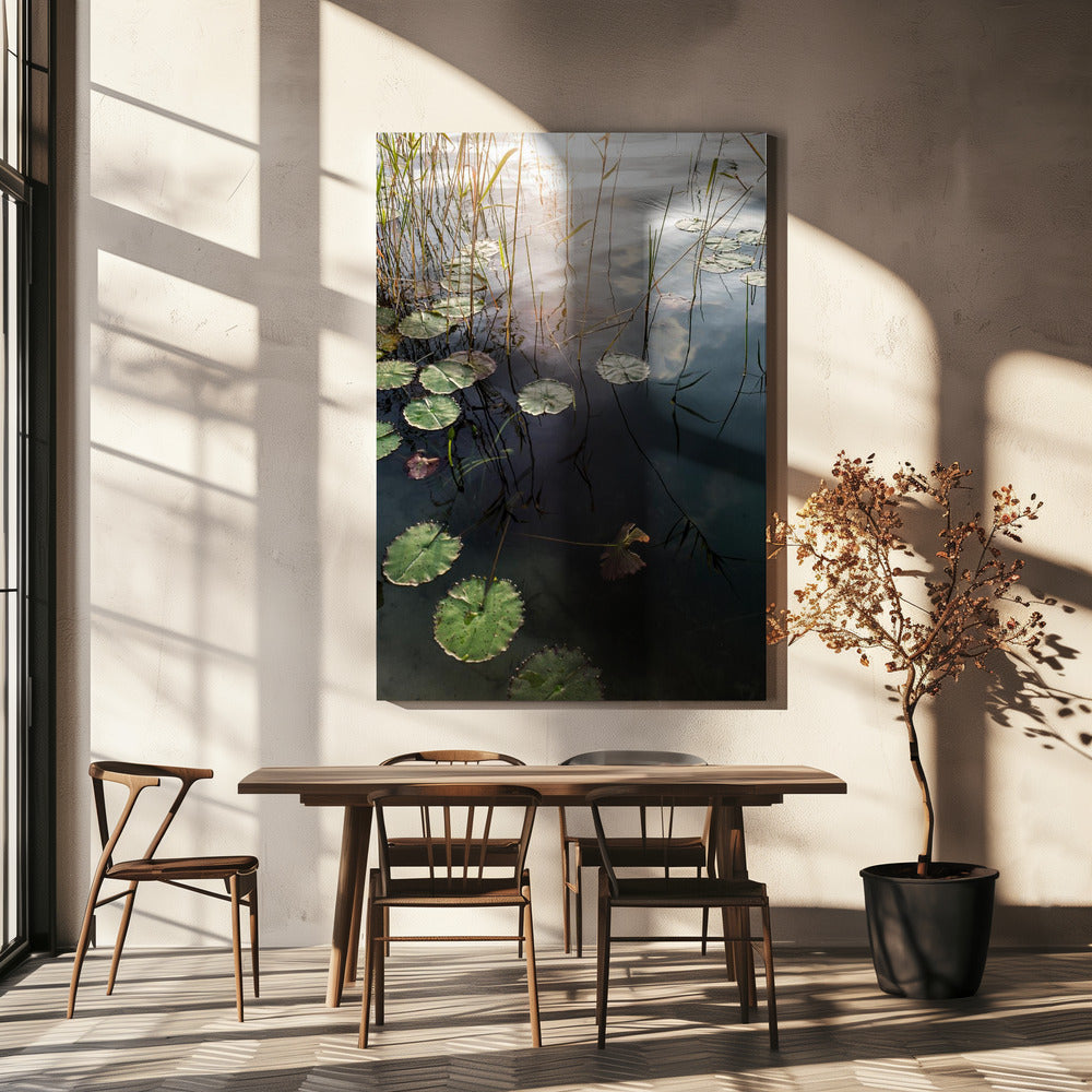 Lily's Tranquil Dawn | Canvas